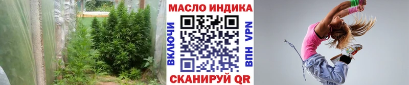 MEGA ссылки  наркотики  Ессентукская  ТГК гашишное масло 